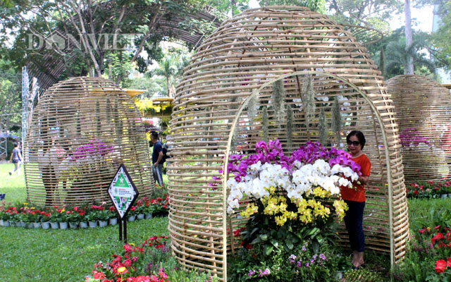 Hàng ngàn giò lan độc, lạ khoe sắc ở Festival hoa lan 