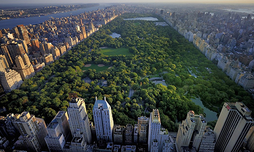 Central Park - Mảng xanh khổng lồ giữa New York