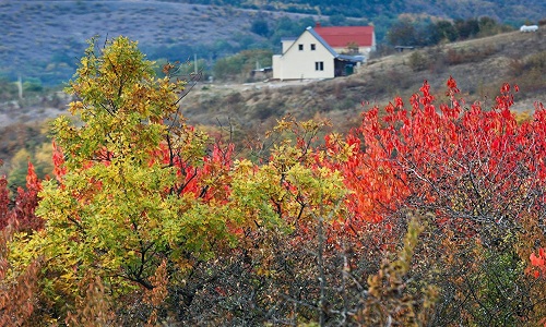 Cảnh sắc trời thu đẹp hút hồn ở Crimea