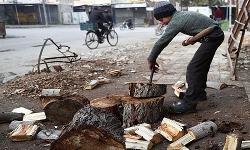 Cuộc sống thanh bình ở Đông Aleppo qua ảnh mới nhất