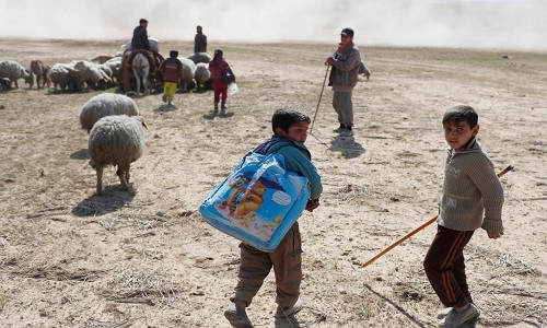 Cảnh thường dân Iraq mang theo gia súc tháo chạy khỏi Mosul