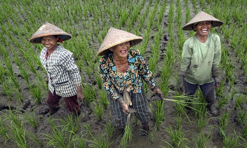 Ấm lòng những khoảnh khắc hạnh phúc giản dị trong cuộc sống