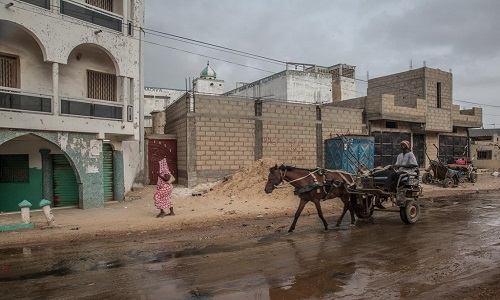 Số phận xe ngựa kéo "một thời vang bóng" ở Senegal