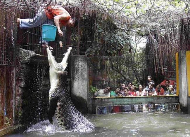 Tận mắt những người thích "giỡn mặt tử thần", nhìn đã thấy thót tim