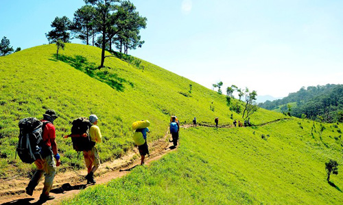 Băng rừng trên cung đường trek đẹp nhất Việt Nam