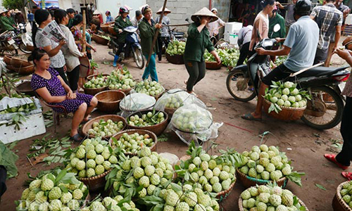 Hình ảnh ấn tượng trong chợ na lớn nhất miền Bắc