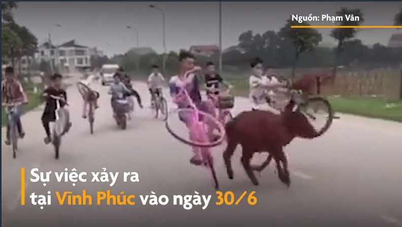 Video: Nhóm thiếu niên đi xe đạp dàn hàng ngang, bốc đầu 