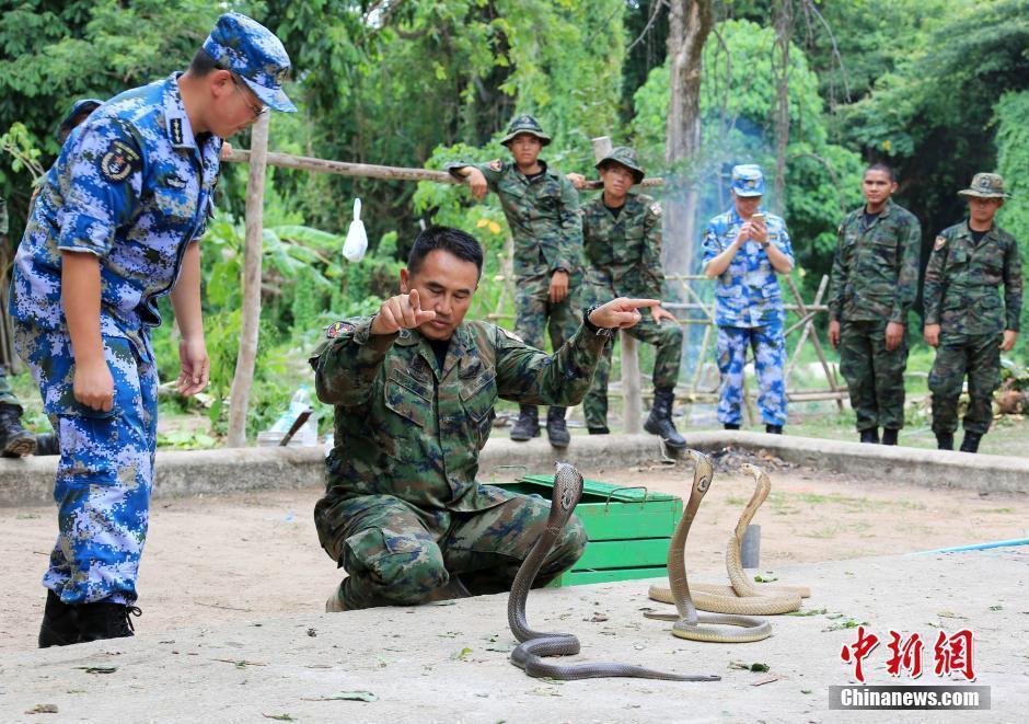 Cận cảnh Thái Lan dạy lính Trung Quốc thôi miên...rắn độc