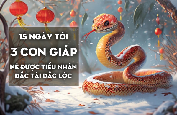 15 ngày tới, 3 con giáp xui rủi tránh xa, đắc tài đắc lộc