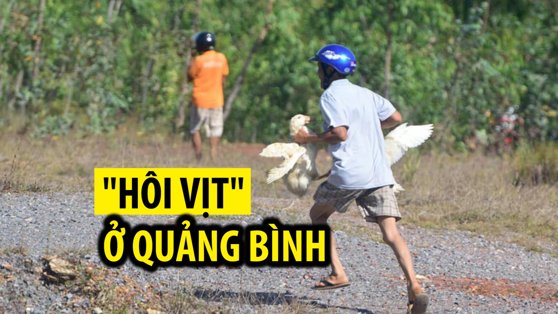 Ảnh: Những vụ “hôi của” đáng xấu hổ của người Việt 