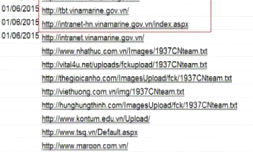 Tin tặc tấn công những website nào ở Việt Nam?