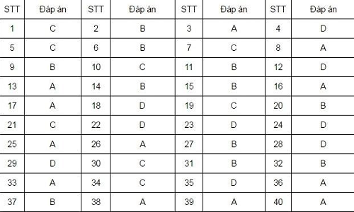 Đề thi và bài giải môn tiếng Anh thi THPT quốc gia 2016