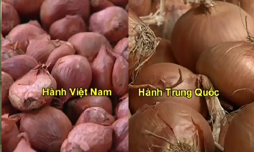 Mẹo hay phân biệt hành khô Việt Nam và Trung Quốc