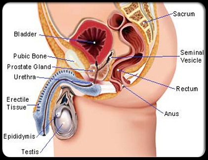 15 dấu hiệu nhận biết ung thư ở nam giới