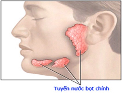 Các loại ung thư đầu cổ thường gặp (2)