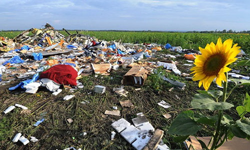 Thảm kịch hàng không MH17 – Một năm nhìn lại