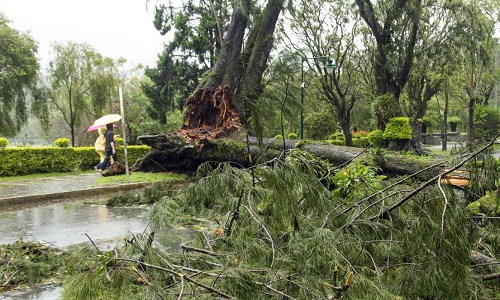 Hình ảnh Philippines hoang tàn vì bão Goni