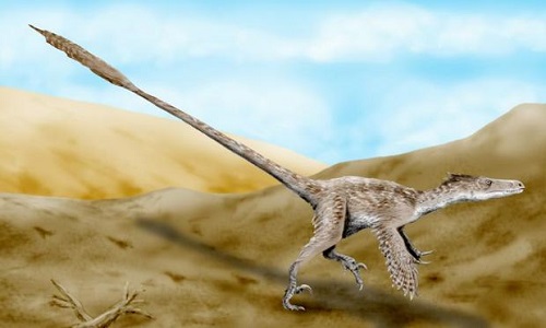 Sự thật tàn khốc về khủng long Velociraptor 