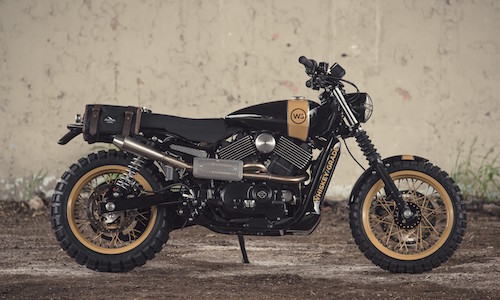 Harley-Davidson Street 750 lên đời scrambler “hàng thửa“