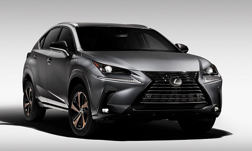 Xe sang Lexus NX 300 Black Line Special Edition 2020 trình làng