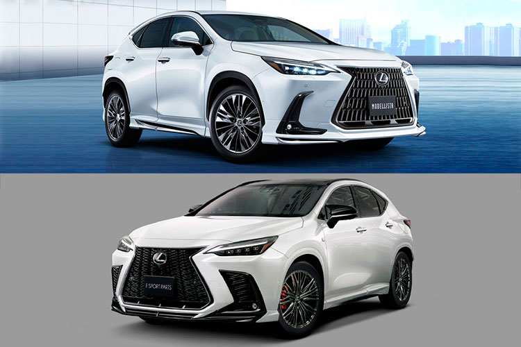 Lexus NX 2022 “hạ gục” khách mua khó tính với phụ kiện TRD