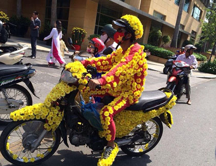 Dân mạng truy lùng “ông hoa mai vàng” du xuân