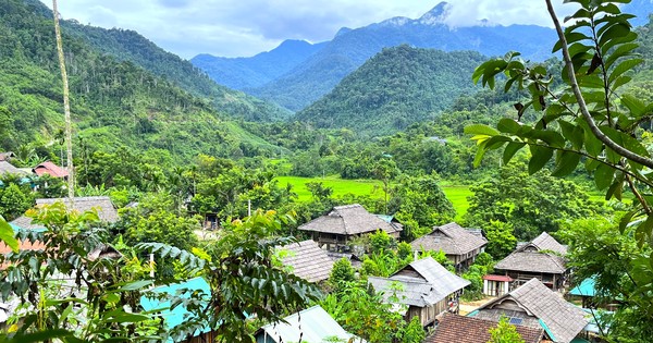 Độc đáo nếp nhà sàn làm từ gỗ samu quý hiếm ở ngôi làng Thái cổ