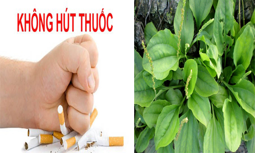 Bài thuốc giúp bạn cai thuốc lá nhanh và hiệu quả 