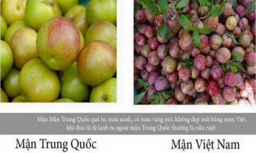 Cách hay phân biệt mận Việt Nam và mận Trung Quốc