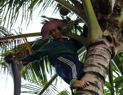 Bản lĩnh của “nữ quái”... sét đánh không chết ở Tiền Giang