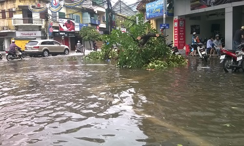 Cảnh tan hoang ở Hải Phòng, Quảng Ninh sau cơn bão số 3