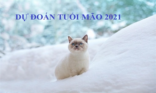 Dự đoán năm Tân Sửu 2021 cho người tuổi Mão: Hung xui lấn át, vận thế khó lường 