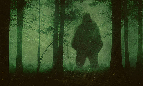 Tuyên bố "sốc": Quái vật Bigfoot có thật, đang lang thang ở Bắc Mỹ? 