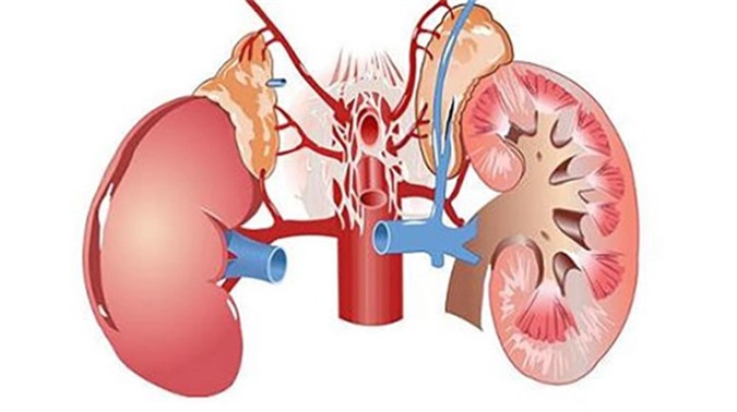 8 tác dụng chữa bệnh không ngờ của hạt đu đủ