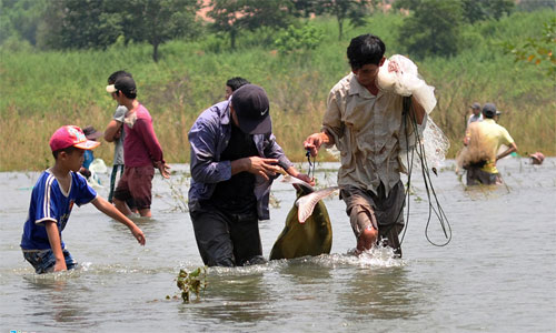 Ảnh: Dân đổ xô săn cá "khủng" ở chân đập Trị An