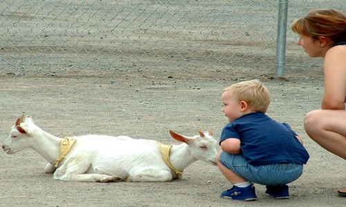 Những hình ảnh khó tin có thật khiến bạn “dụi đỏ mắt“ (2)