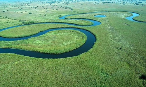 Tuyệt sắc Đồng bằng Okavango với hàng ngàn loài động thực vật