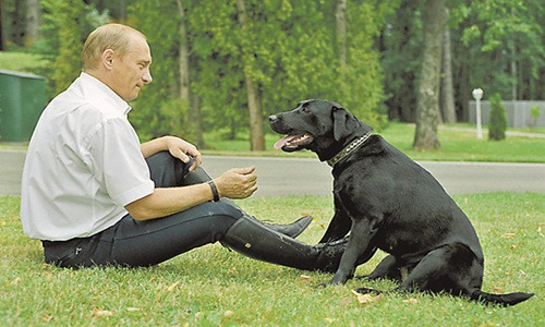 “Siêu” chó cưng của Tổng thống Nga Putin từng sống sướng thế nào?