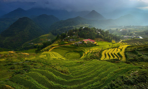 Ruộng bậc thang Việt Nam tuyệt đẹp trên National Geographic 