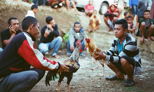 Tò mò cuộc sống ở ngôi làng "kín như bưng" của Indonesia