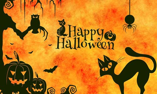 Lễ hội Halloween và những sự thật chưa hẳn ai cũng biết 