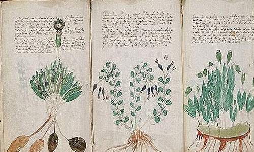 Bản thảo Voynich đánh đố nhân loại sắp được giải mã?