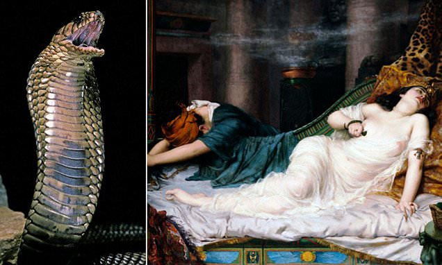 Giải mã cực sốc loài rắn độc cắn chết Nữ hoàng Cleopatra