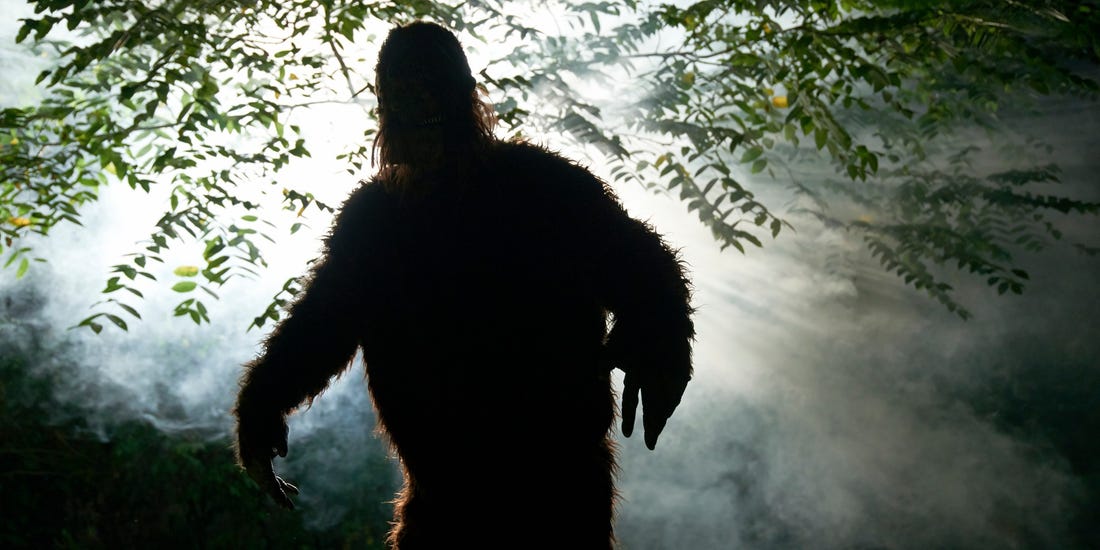 Vì sao con người khó bắt được quái vật Bigfoot?