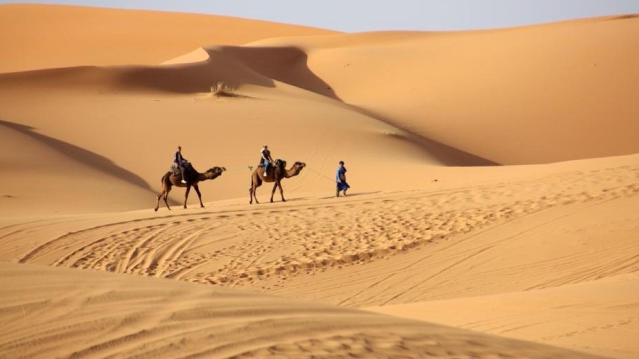 Loạt sự thật gây kinh ngạc về sa mạc Sahara nổi tiếng thế giới