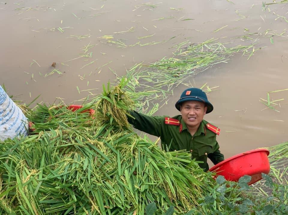 Chiến sỹ Công an Hà Nội ngâm nước giúp người dân cứu lúa