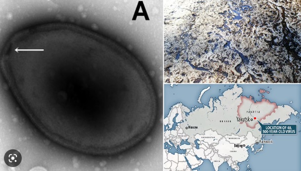 Băng tan chảy, chuyên gia lo ngay ngáy virus cổ đại “hồi sinh" 