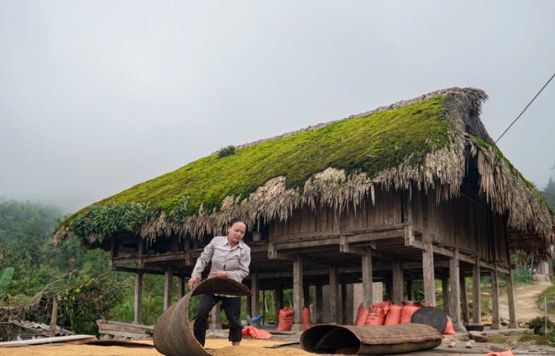 Ngôi làng cổ tích, ngói phủ rêu xanh ở Hà Giang