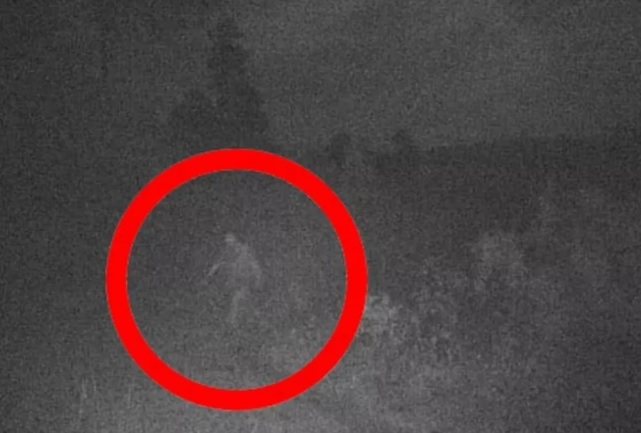 Xem ảnh cũ, bất ngờ thấy quái vật Bigfoot “hiện nguyên hình” 