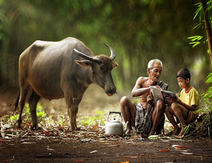 Mê mẩn bộ ảnh làng quê Indonesia đậm chất Việt Nam (2)